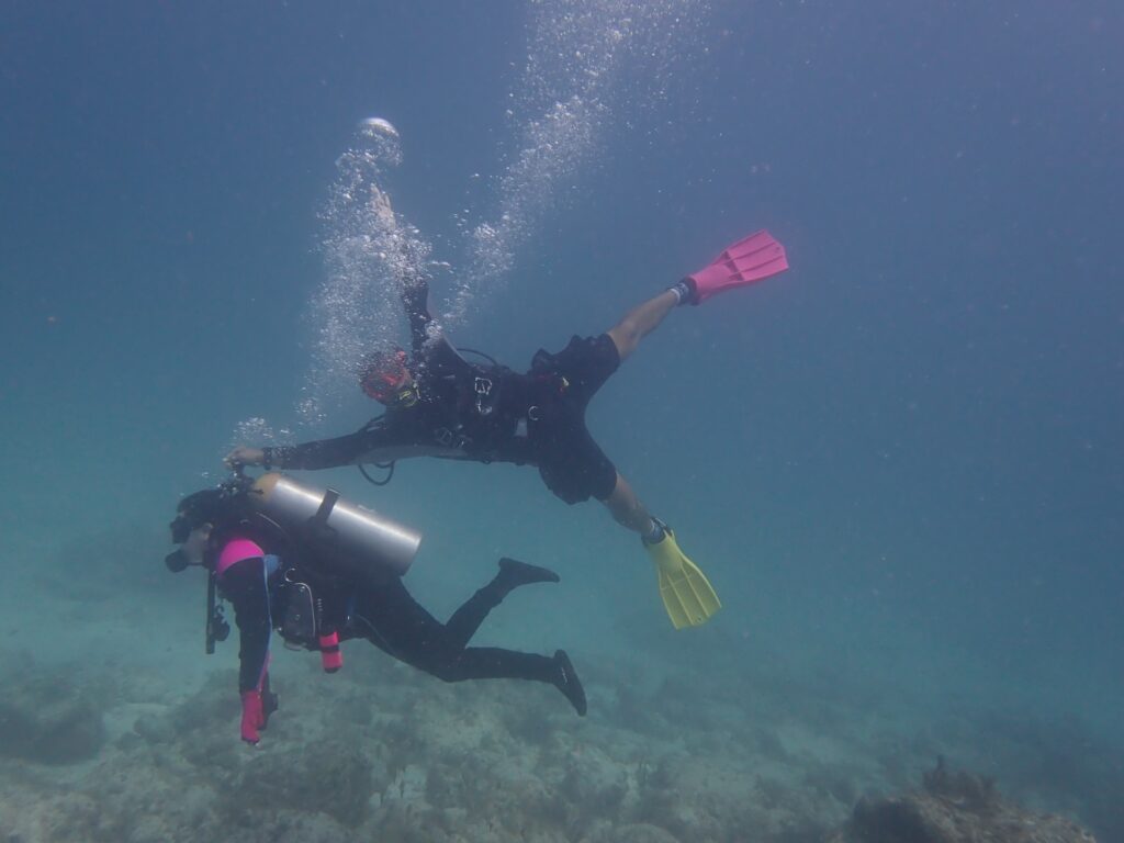 Sabrina and her buddy share a playful moment underwater. She’s in black and pink dive gear with bright gloves, while her buddy in yellow fins floats alongside her.