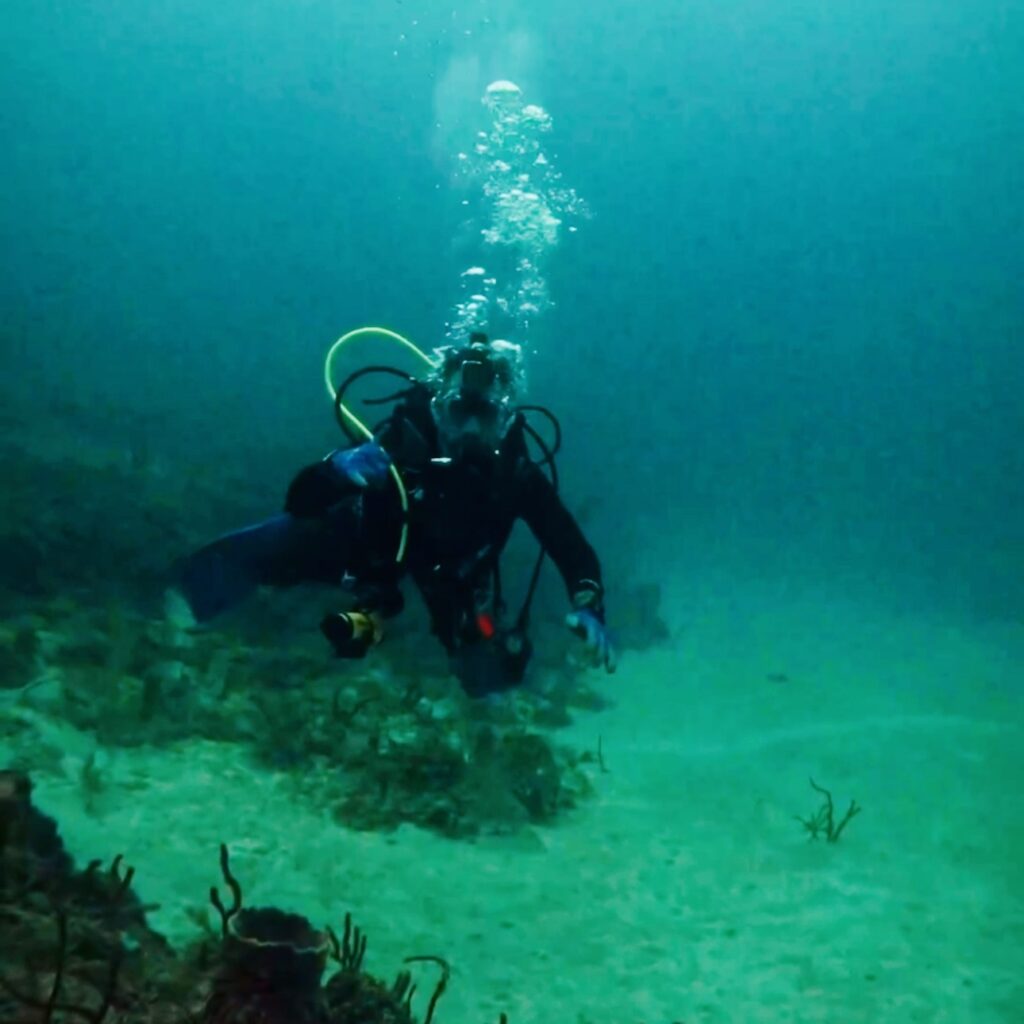 Scooter Bobby scuba diving over a reef, surrounded by open ocean and rising bubbles as he explores the underwater landscape.
