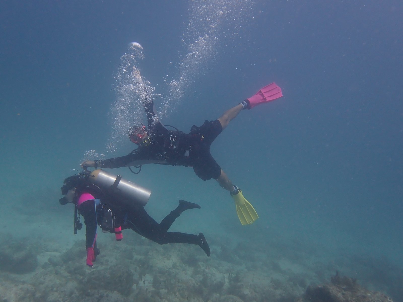 Sabrina Dionne diving