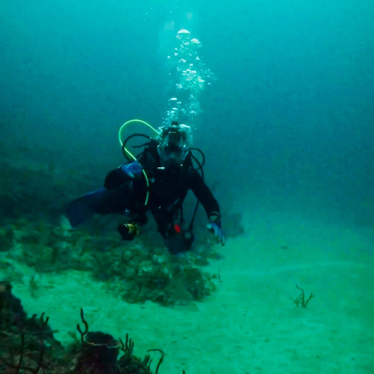 Scooter Bobby diving